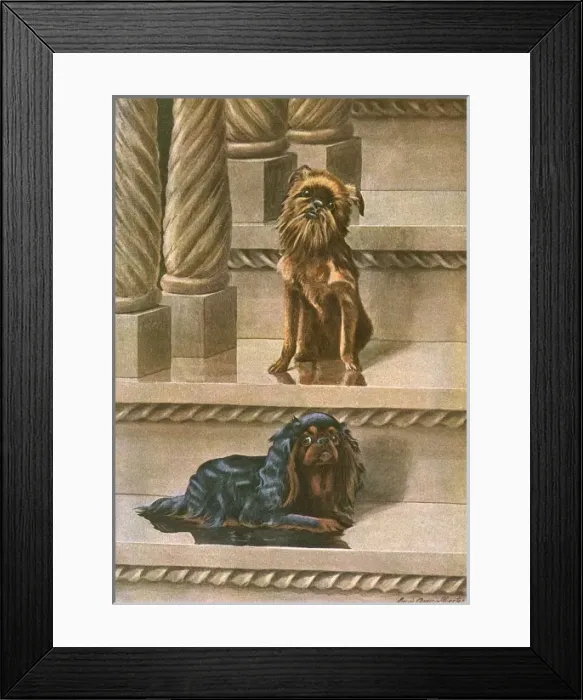 Framed Print : Two dogs on a staircase Framed Print : Two dogs on a staircase
