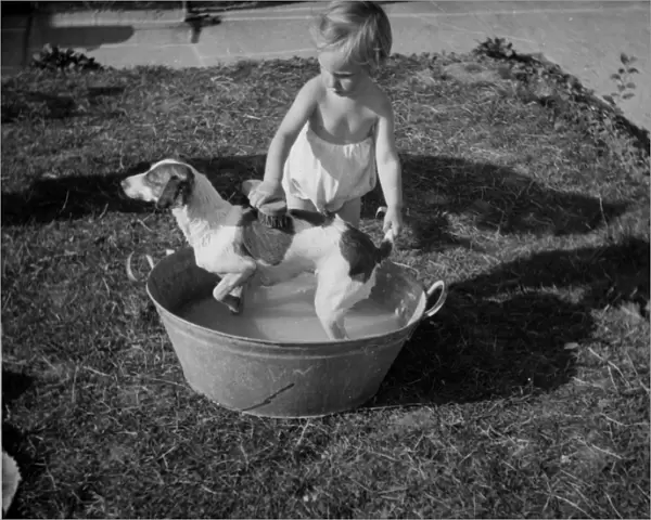 Toddler giving dog a bath in the garden
