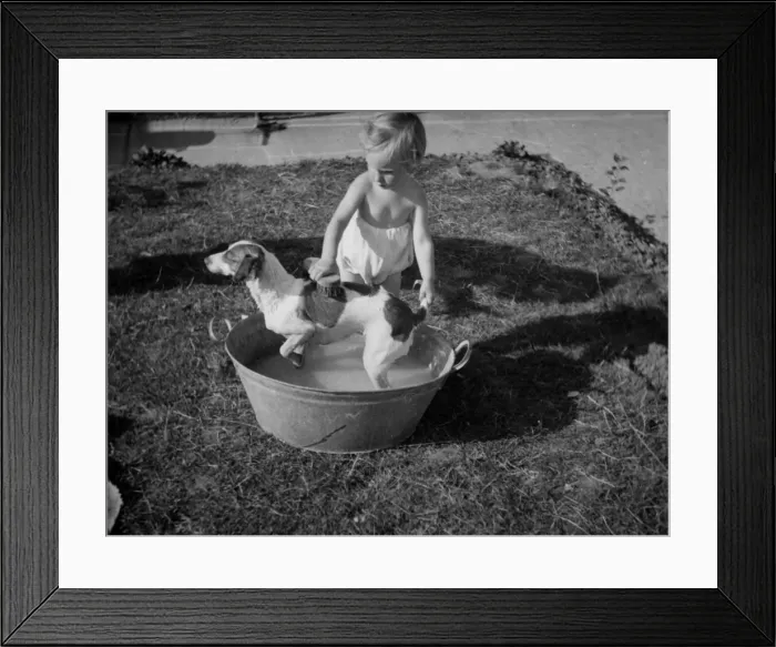 Framed Print : Toddler giving dog a bath in the garden Framed Print : Toddler giving dog a bath in the garden