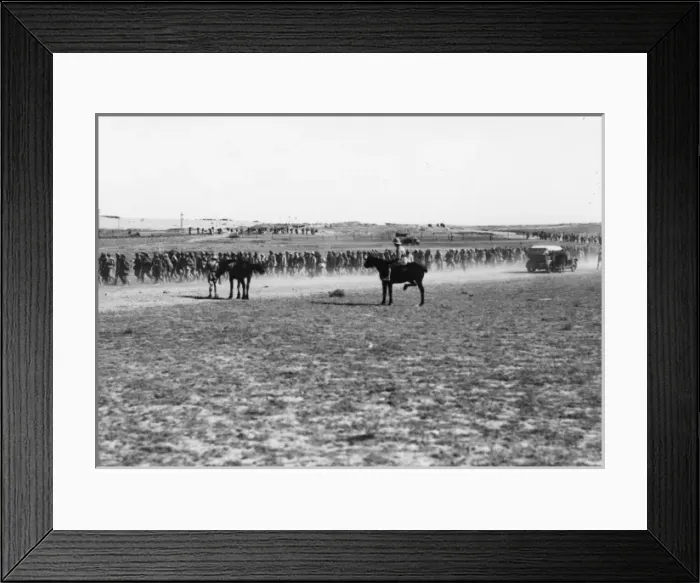 Framed Print : Prisoners captured by Australian troops near Gaza, WW1 Framed Print : Prisoners captured by Australian troops near Gaza, WW1