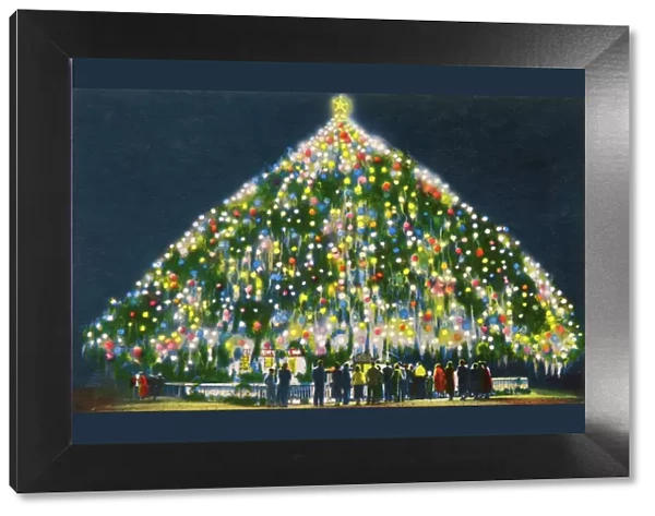 Worlds Largest Living Christmas Tree - Wilmington