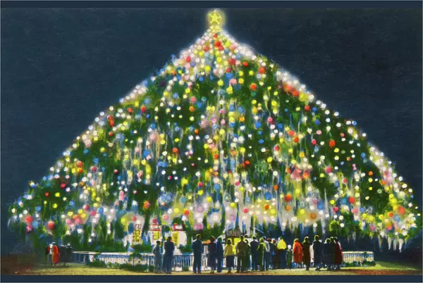 Worlds Largest Living Christmas Tree - Wilmington