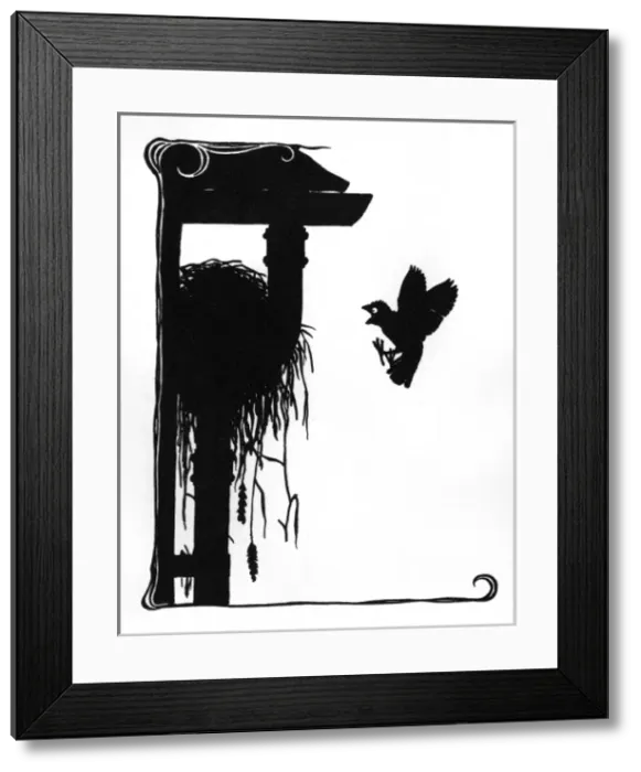 Framed Print : Jack Sparrow shocked to find the nest empty