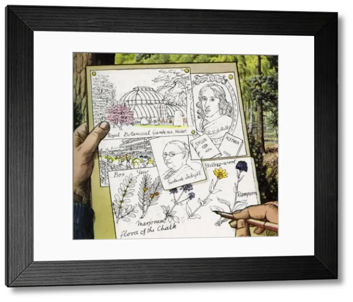 Framed Print : Gertrude Jekyll - Garden designer Framed Print : Gertrude Jekyll - Garden designer