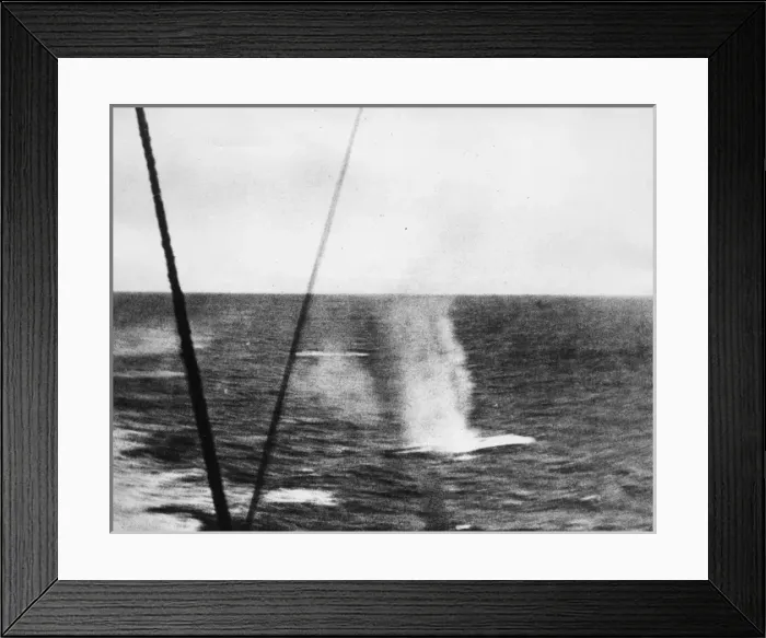 Framed Print : Salvo falling, Battle of the Falkland Islands, WW1 Framed Print : Salvo falling, Battle of the Falkland Islands, WW1