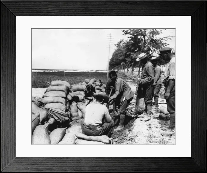 Framed Print : Chinese labourers filling sandbags near Arras, France, WW1 Framed Print : Chinese labourers filling sandbags near Arras, France, WW1