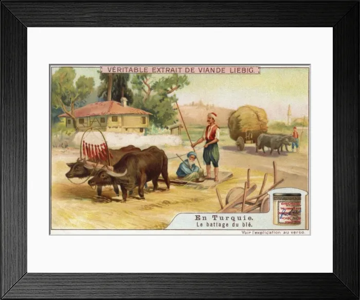 Framed Print : Threshing Wheat - Turkey Framed Print : Threshing Wheat - Turkey