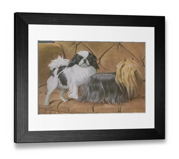 Framed Print : Two dogs on a sofa Framed Print : Two dogs on a sofa