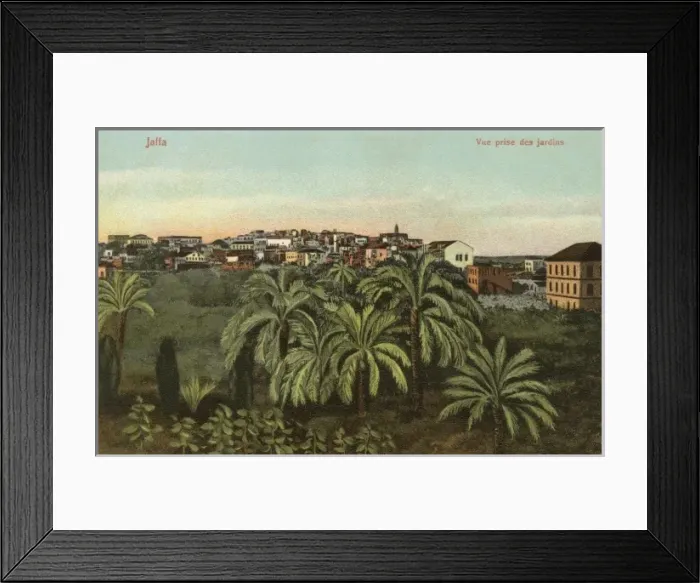 Framed Print : Jaffa - Israel - View close to the Gardens Framed Print : Jaffa - Israel - View close to the Gardens