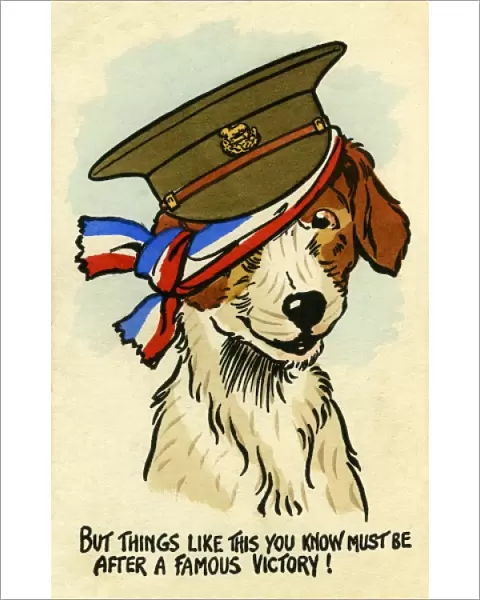 Patriotic terrier