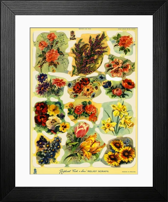 Framed Print : Flowers scraps Framed Print : Flowers scraps