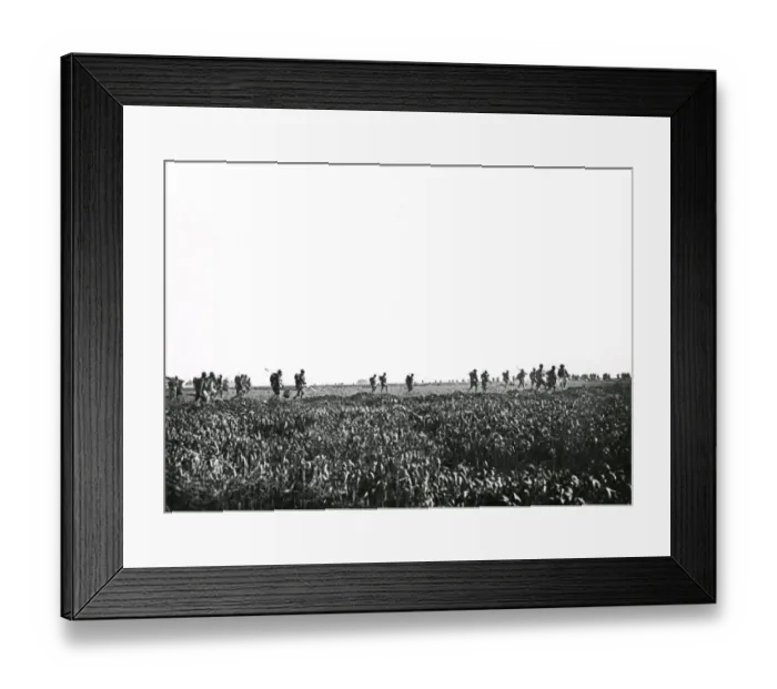 Framed Print : American troops, Battle of Cantigny, France, WW1 Framed Print : American troops, Battle of Cantigny, France, WW1