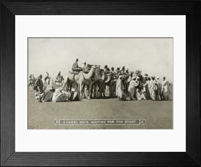 Framed Print : Sudan - A Camel Race Framed Print : Sudan - A Camel Race