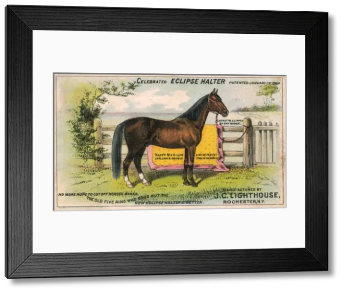 Framed Print : The Eclipse Halter - Advertorial postcard Framed Print : The Eclipse Halter - Advertorial postcard