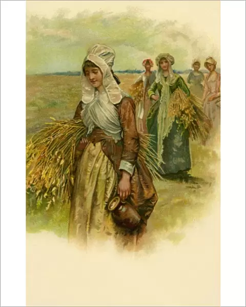 Women in the cornfields