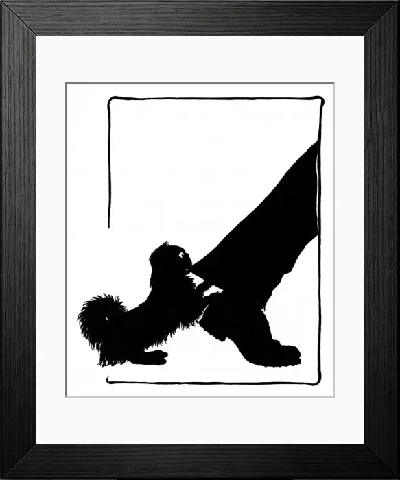 Framed Print : Koko the Pekinese dog with postmans leg Framed Print : Koko the Pekinese dog with postmans leg