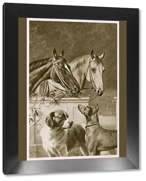 Two Horses and a pair of dogs