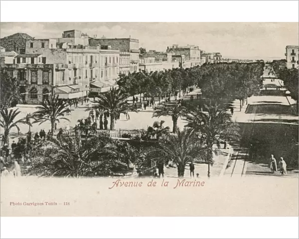 Tunisia - Tunis - Avenue de la Marine