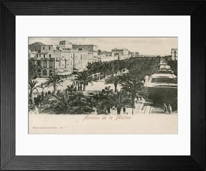 Framed Print : Tunisia - Tunis - Avenue de la Marine Framed Print : Tunisia - Tunis - Avenue de la Marine