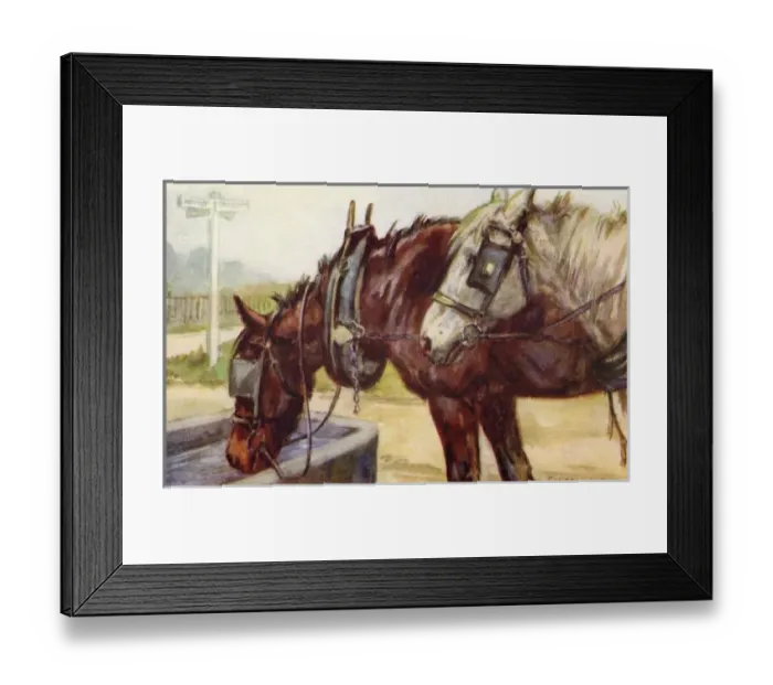 Framed Print : Horses drinking at a water trough