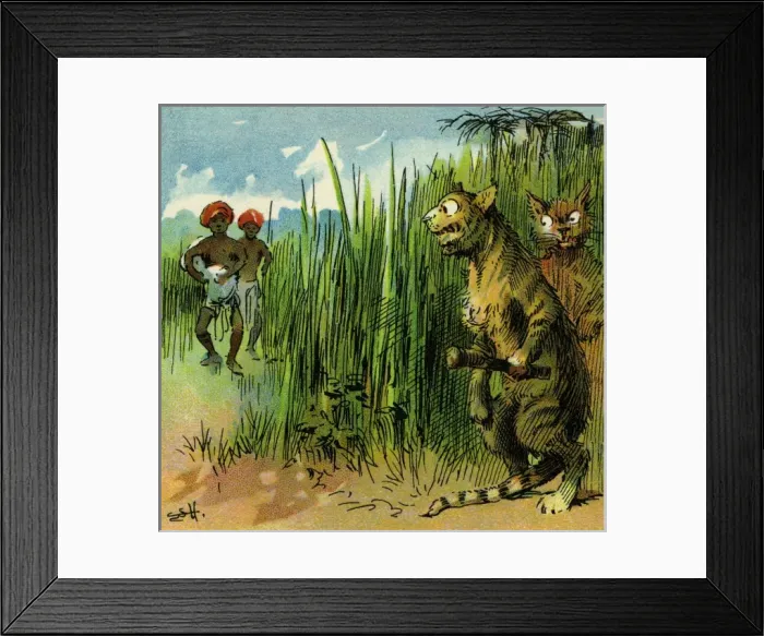 Framed Print : The Prudent Tiger Framed Print : The Prudent Tiger