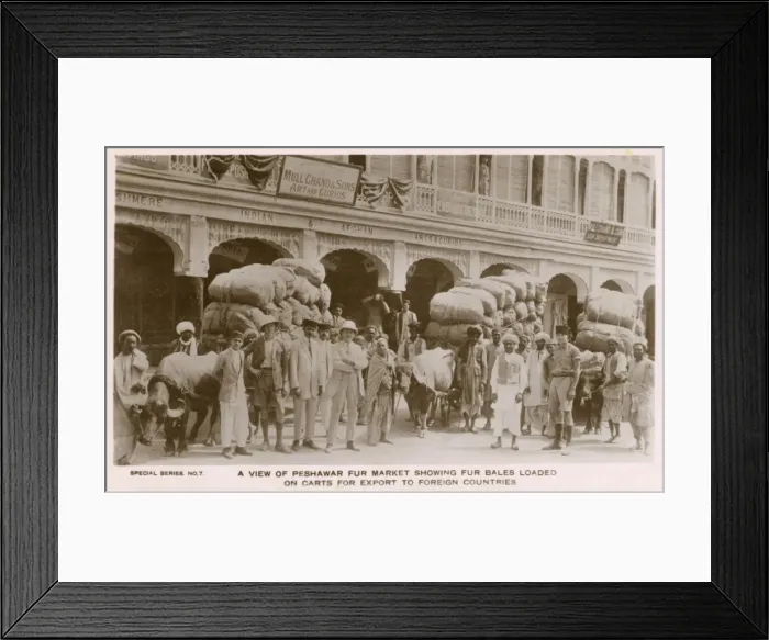 Framed Print : Peshawar Fur Market - with bales loaded on carts Framed Print : Peshawar Fur Market - with bales loaded on carts