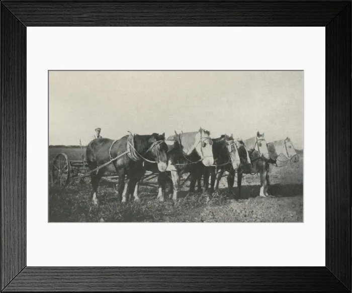 Framed Print : Former inmate of Claydon Training Centre Framed Print : Former inmate of Claydon Training Centre