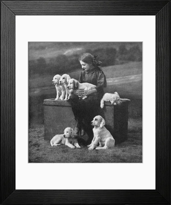 Framed Print : Girl with puppies Framed Print : Girl with puppies