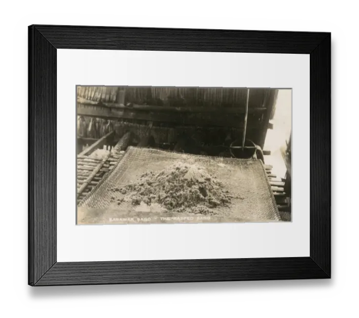 Framed Print : Sago Industry of Sarawak Framed Print : Sago Industry of Sarawak