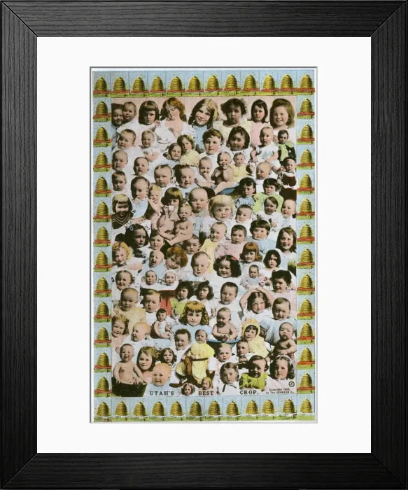 Framed Print : Plentiful crop of Babies - Utah, United States Framed Print : Plentiful crop of Babies - Utah, United States