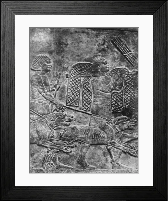 Framed Print : Dogs of the chase, 500BC Framed Print : Dogs of the chase, 500BC