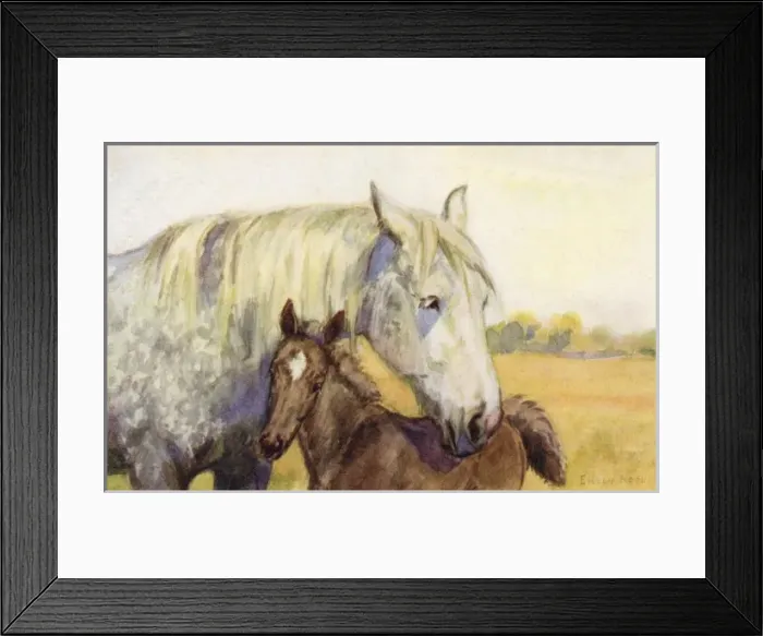 Framed Print : Mother and foal Framed Print : Mother and foal