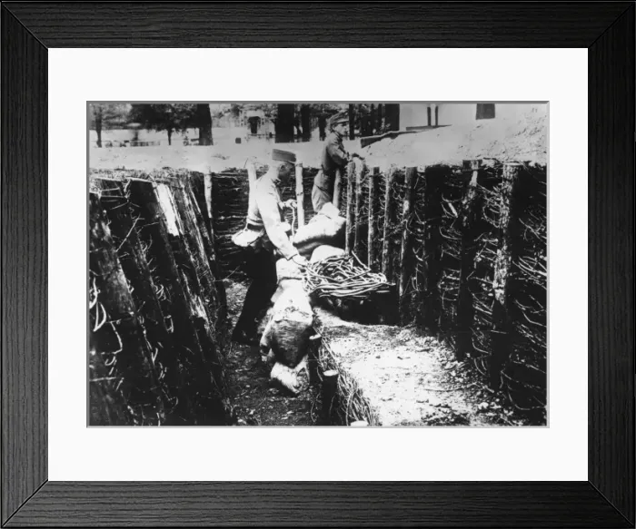 Framed Print : Austro-Hungarian trench with gas bottles, WW1 Framed Print : Austro-Hungarian trench with gas bottles, WW1