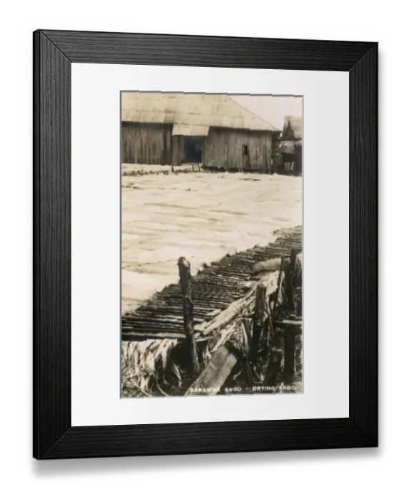 Framed Print : Sago Industry of Sarawak Framed Print : Sago Industry of Sarawak