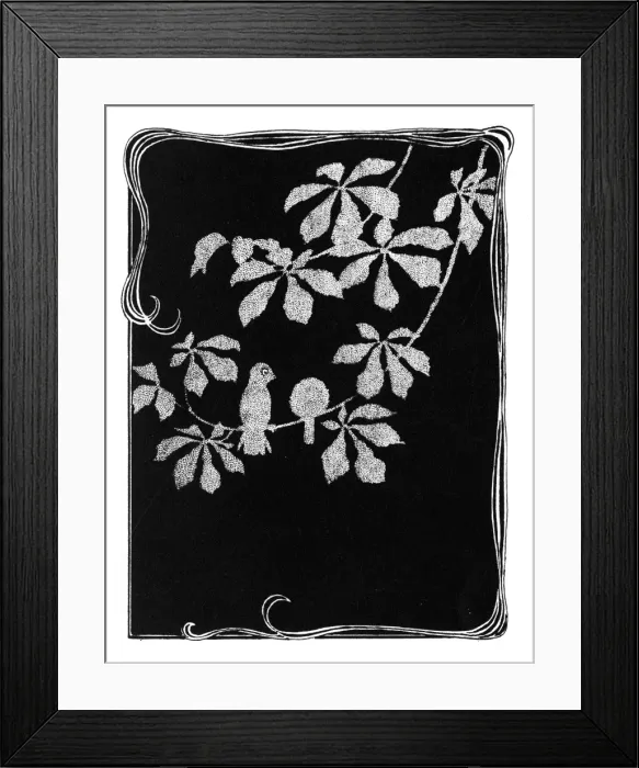 Framed Print : Two sparrows perched on a branch at night Framed Print : Two sparrows perched on a branch at night