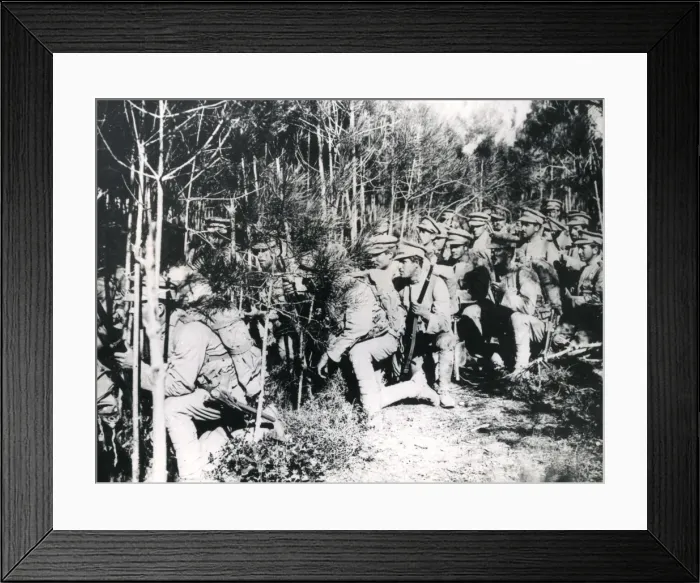 Framed Print : Portuguese soldiers advancing through a wood, WW1 Framed Print : Portuguese soldiers advancing through a wood, WW1