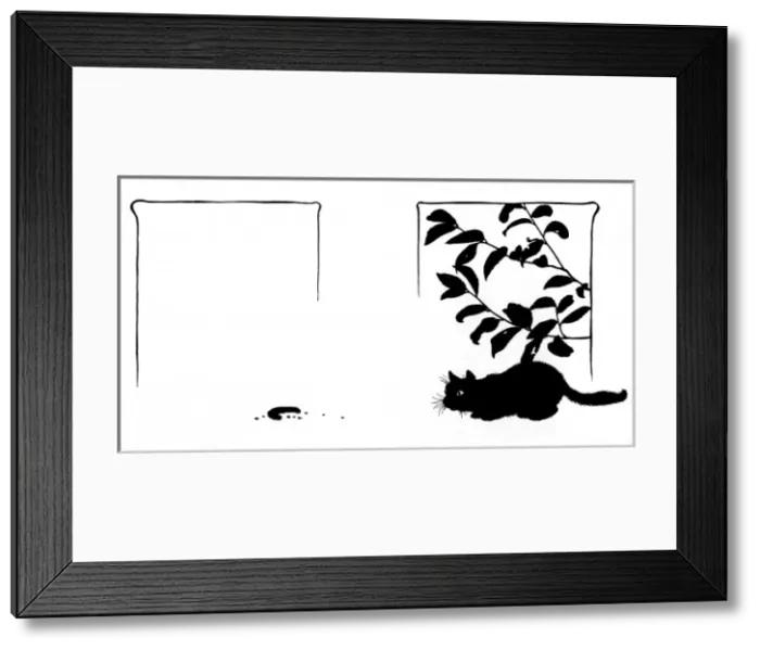 Framed Print : Cat under laurel bush, looking at crust Framed Print : Cat under laurel bush, looking at crust