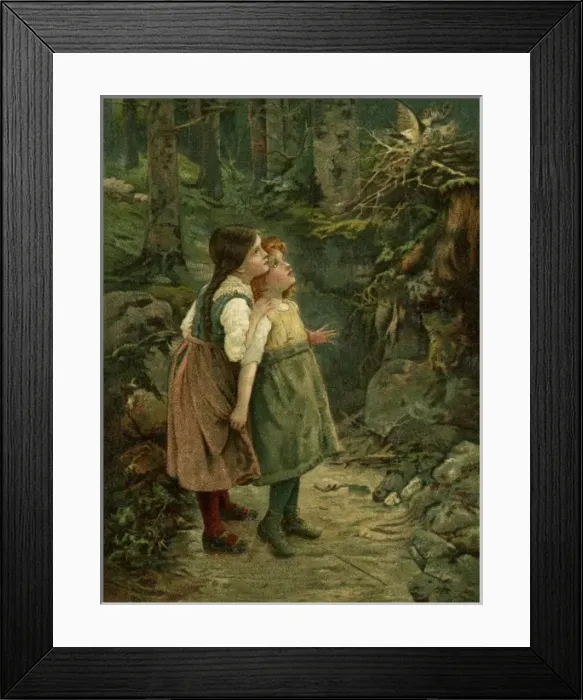 Framed Print : The Birds Nest Framed Print : The Birds Nest