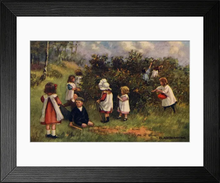 Framed Print : Blackberrying Framed Print : Blackberrying