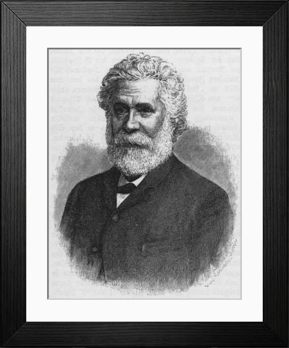 Framed Print : Ioan Bratianu Framed Print : Ioan Bratianu