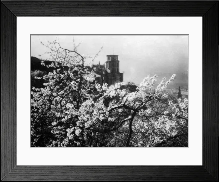 Framed Print : Heidelberg Schloss Framed Print : Heidelberg Schloss