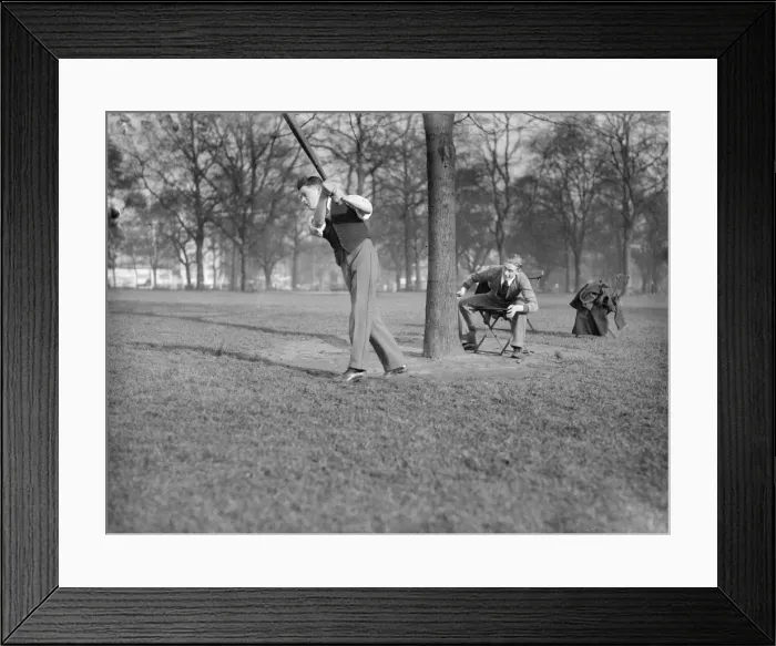 Framed Print : Cricket in the Park Framed Print : Cricket in the Park