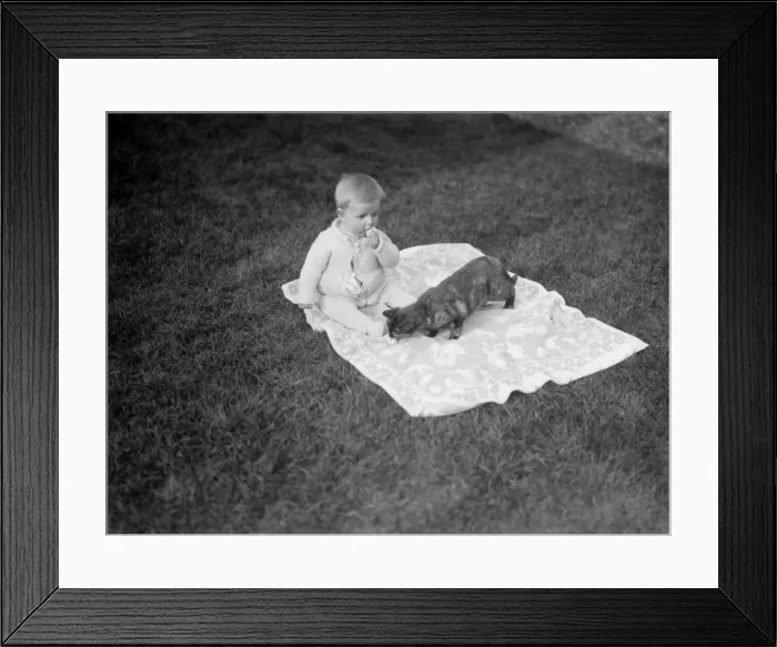 Framed Print : Baby and Cat Framed Print : Baby and Cat