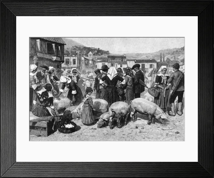 Framed Print : Pig Market, Pyrenees Framed Print : Pig Market, Pyrenees