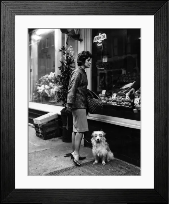 Framed Print : Housewife and Pooch Framed Print : Housewife and Pooch