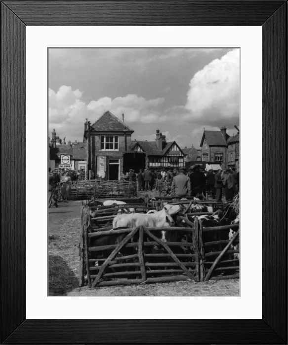 Framed Print : Thame Cattle Market Framed Print : Thame Cattle Market
