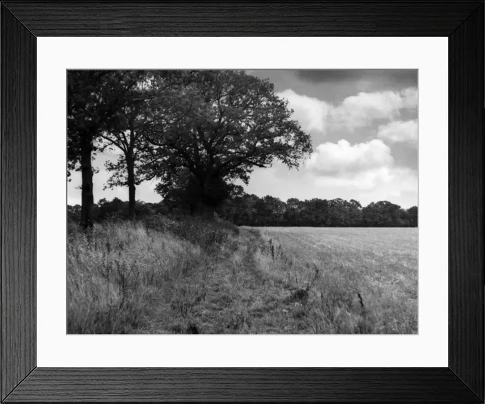 Framed Print : ROMAN BACK LANE Framed Print : ROMAN BACK LANE