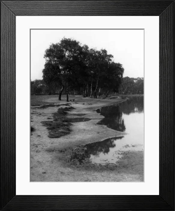 Framed Print : Wimbledon Common Framed Print : Wimbledon Common