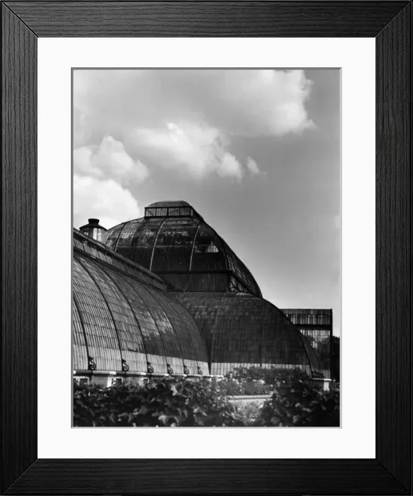Framed Print : Kew Gardens Palm House Framed Print : Kew Gardens Palm House
