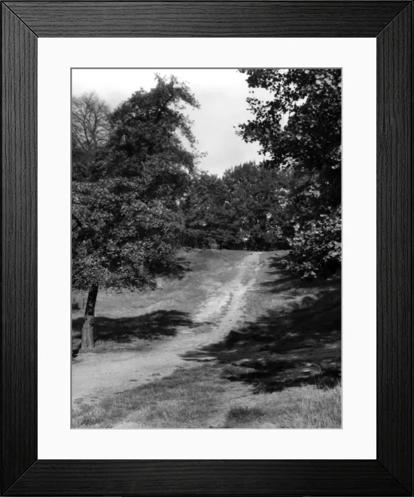 Framed Print : Hampstead Heath Framed Print : Hampstead Heath